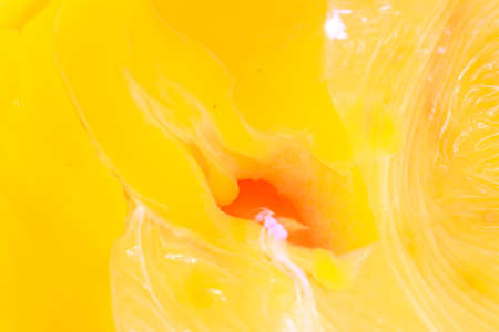 Abstract yellow texture backgroundの写真素材