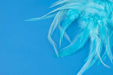 blue background with feather texture in light blue green embossed