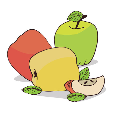Isolate colorful ripe apple fruit on white background. Close up clipart with shadow in flat realistic cartoon style. Hand drawn iconのイラスト素材