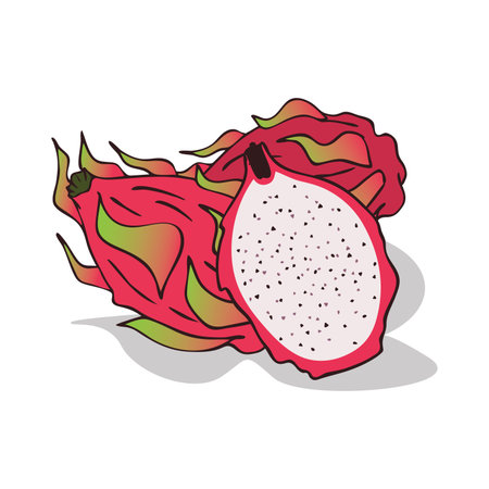 Isolated ripe pitaya or pitahaya Vector illustration.のイラスト素材