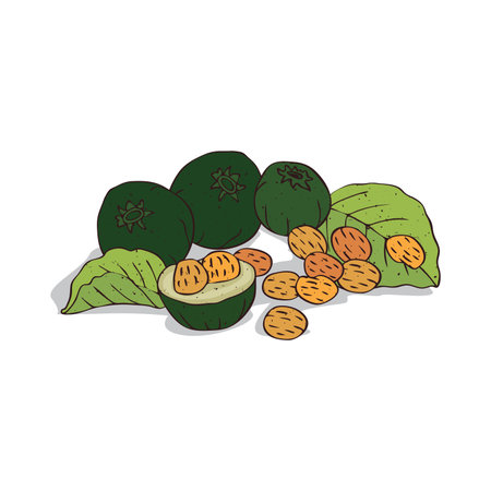 Isolated clipart Pequiのイラスト素材