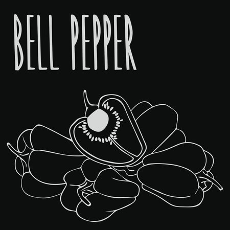 Chalkboard capsicum or bell pepperのイラスト素材