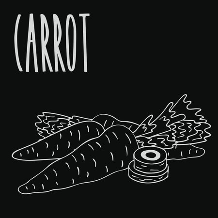 Chalkboard carrot root vegetable vector illustration.のイラスト素材