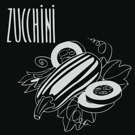 Isolate courgette or zucchini as chalk on blackboard.のイラスト素材