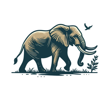 Elephant vector illustration on white background. Wild animal in the jungle.のイラスト素材