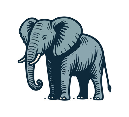 Elephant. Hand drawn vector illustration in sketch style isolated on white background.のイラスト素材