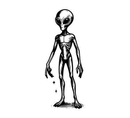 Human skeleton. Vector illustration in black and white colors isolated on white backgroundのイラスト素材