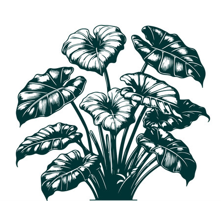 Tropical leaves of philodendron. Vector illustration.のイラスト素材