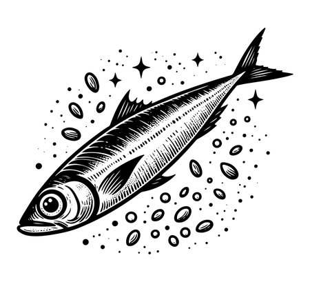 Sardine fish. Vector illustration in black and white colors.のイラスト素材