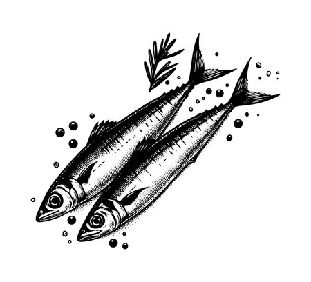 Sardines. Hand drawn vector illustration. Engraved style.のイラスト素材
