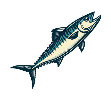 Atlantic Mackerel Fish hand drawn vector illustrationのイラスト素材