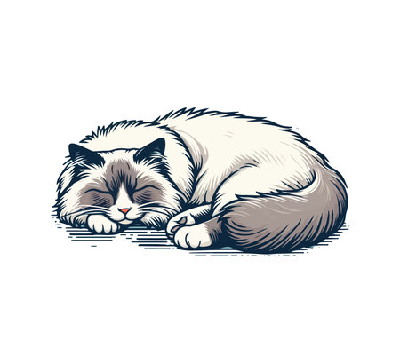 Ragdoll Cat hand drawn vector illustrationのイラスト素材
