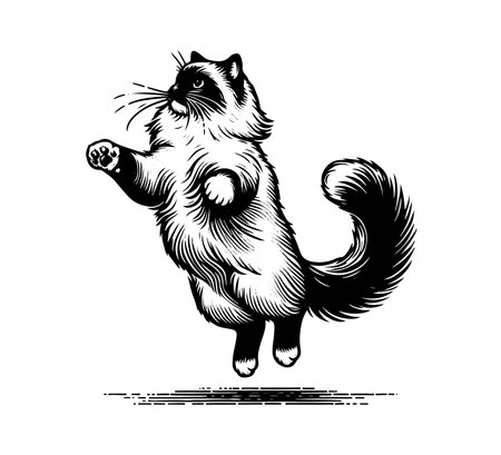 Ragdoll Cat hand drawn vector illustrationのイラスト素材