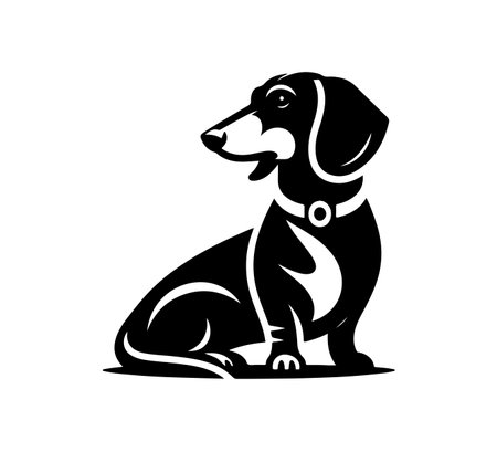 Dachshund dog black and white vector illustration on white backgroundのイラスト素材