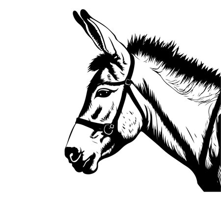 donkey Hand drawn illustration vector graphicのイラスト素材
