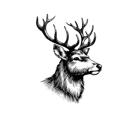 Reindeer Hand Drawn Vector illustration graphicのイラスト素材