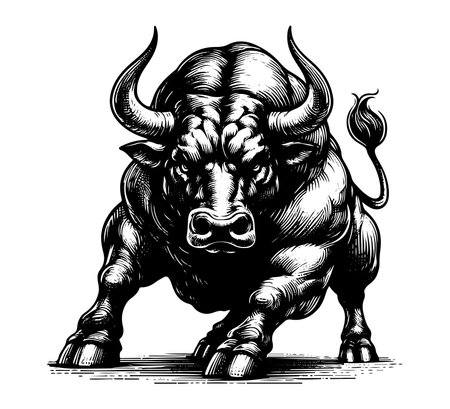 Spanish Fighting Bull vector hand drawn illustrationのイラスト素材