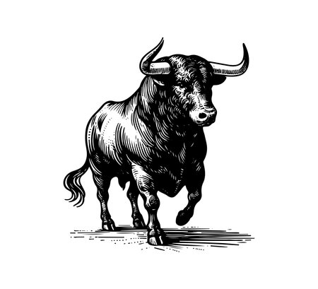 Spanish Fighting Bull vector hand drawn illustrationのイラスト素材