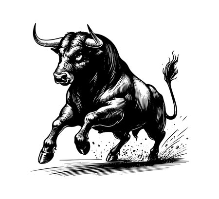 Spanish Fighting Bull vector hand drawn illustrationのイラスト素材