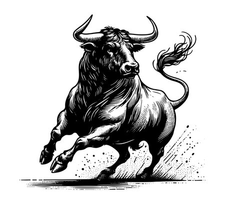 Spanish Fighting Bull vector hand drawn illustrationのイラスト素材
