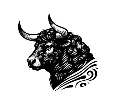 Spanish Fighting Bull vector hand drawn illustrationのイラスト素材