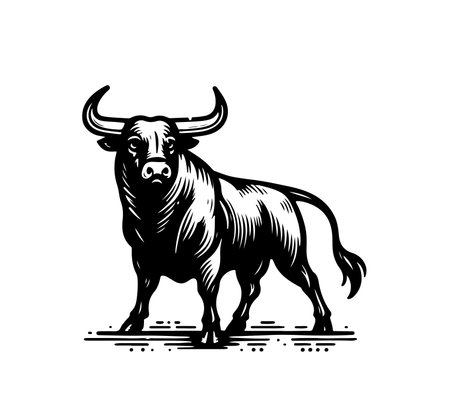 Spanish Fighting Bull hand drawn vectorのイラスト素材
