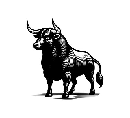 Spanish Fighting Bull hand drawn vectorのイラスト素材