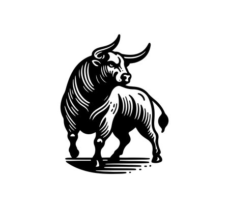 Spanish Fighting Bull hand drawn vectorのイラスト素材