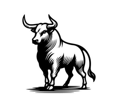 Spanish Fighting Bull hand drawn vectorのイラスト素材