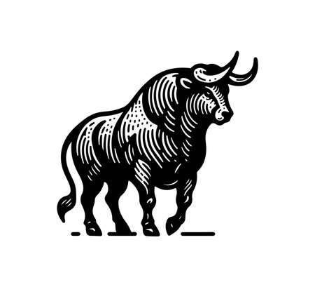 Spanish Fighting Bull hand drawn vectorのイラスト素材