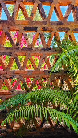 hollow brick wall with garden in the background, terracotta bricks in tile and brownの写真素材