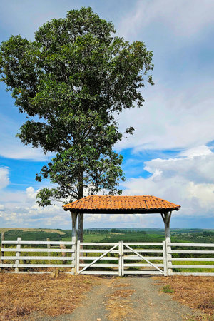entrance to the farm with a wooden gate, painted white and a large tree. Blue sky with clouds and...