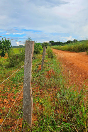 red dirt road, with wooden and wire fence and surrounding vegetationの写真素材