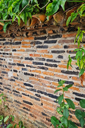 wall in bricks of different colors beige, brown and black, with plants forming a frameの写真素材