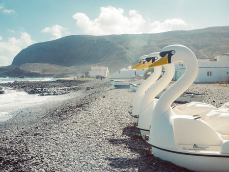 Swan pedal boats on the shoreの写真素材