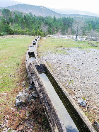Watering place near the springの写真素材