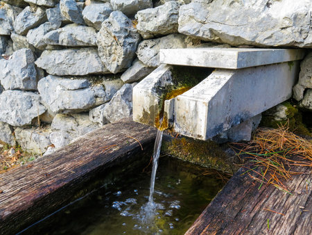 Spring with a watering placeの写真素材