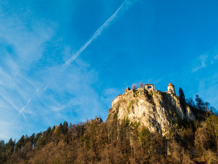 Medieval Bled castle on a rockの写真素材