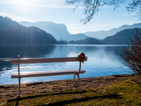 Bench near a lake with biking helmetの写真素材
