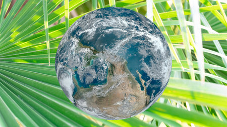 earth and green plant background. Earth day or World environment day or nature day concept.の写真素材