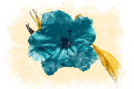 Watercolor illustration of blue flower. Beautiful flower watercolor vintage painting wallpaper. Rustic or vintage background.の写真素材