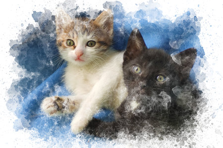 kitten watercolor illustration background. Cute adorable cat looking at camera. Watercolor drawing wallpaper. printable canvasの写真素材