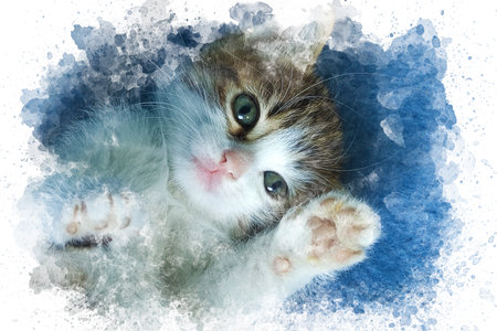 kitten watercolor illustration background. Cute adorable cat looking at camera. Watercolor drawing wallpaper. printable canvasの写真素材