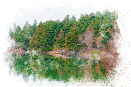 Watercolor illustration of trees and lake nature landscape. Beautiful sky with reflections on lake in autumn forest wallpaper. Nature background watercolor paintingの写真素材