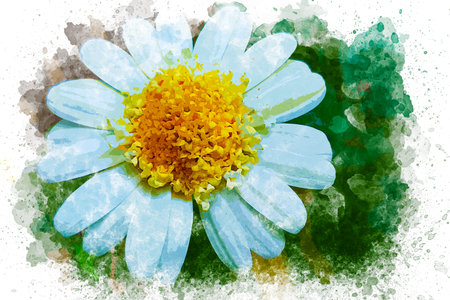 Watercolor painting of daisy flower on green grass. Watercolor illustration artistic artwork. Top viewの写真素材