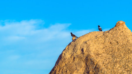 Cappadocia Turkey. Hot air balloons flying over fairy chimneys at sunrise in Cappadocia. Travel to Turkey. Touristic landmarks of Turkiye. Selective focus included.の写真素材