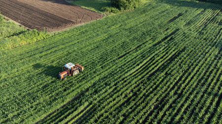Agricultural field aerial view. Tractor taking care of the product on field. Selective focus included.の写真素材