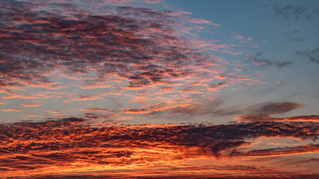 Sunset sky. Cirrocumulus and cirrostratus clouds during sunset. Beautiful dramatic sunset sky...