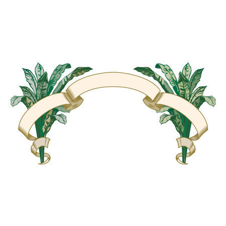 Vintage floral classic calligraphic retro vignette scroll Crests Ribbons Frames ornamental design elements black and color set isolated vectorのイラスト素材