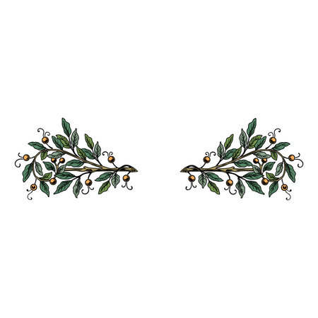Vintage floral calligraphic floral vignette scroll corners ornamental design elements set isolated vector illustrationのイラスト素材